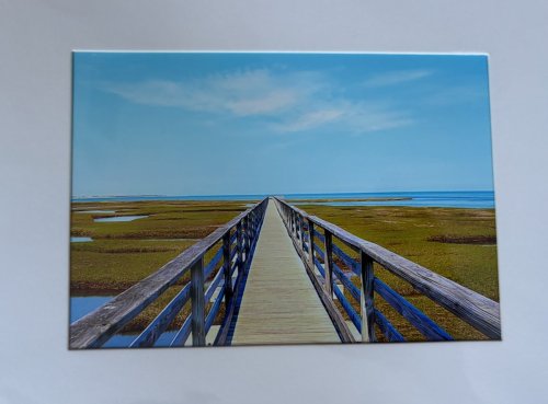 Nature Print: Bass Hole Yarmouthport, MA