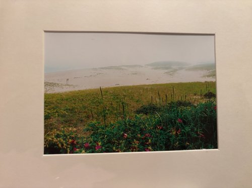 Cape Cod National Seashore 1, Chatham, MA