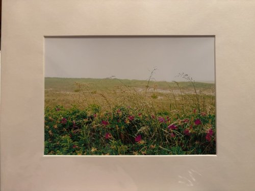 Cape Cod National Seashore 3, Chatham, MA